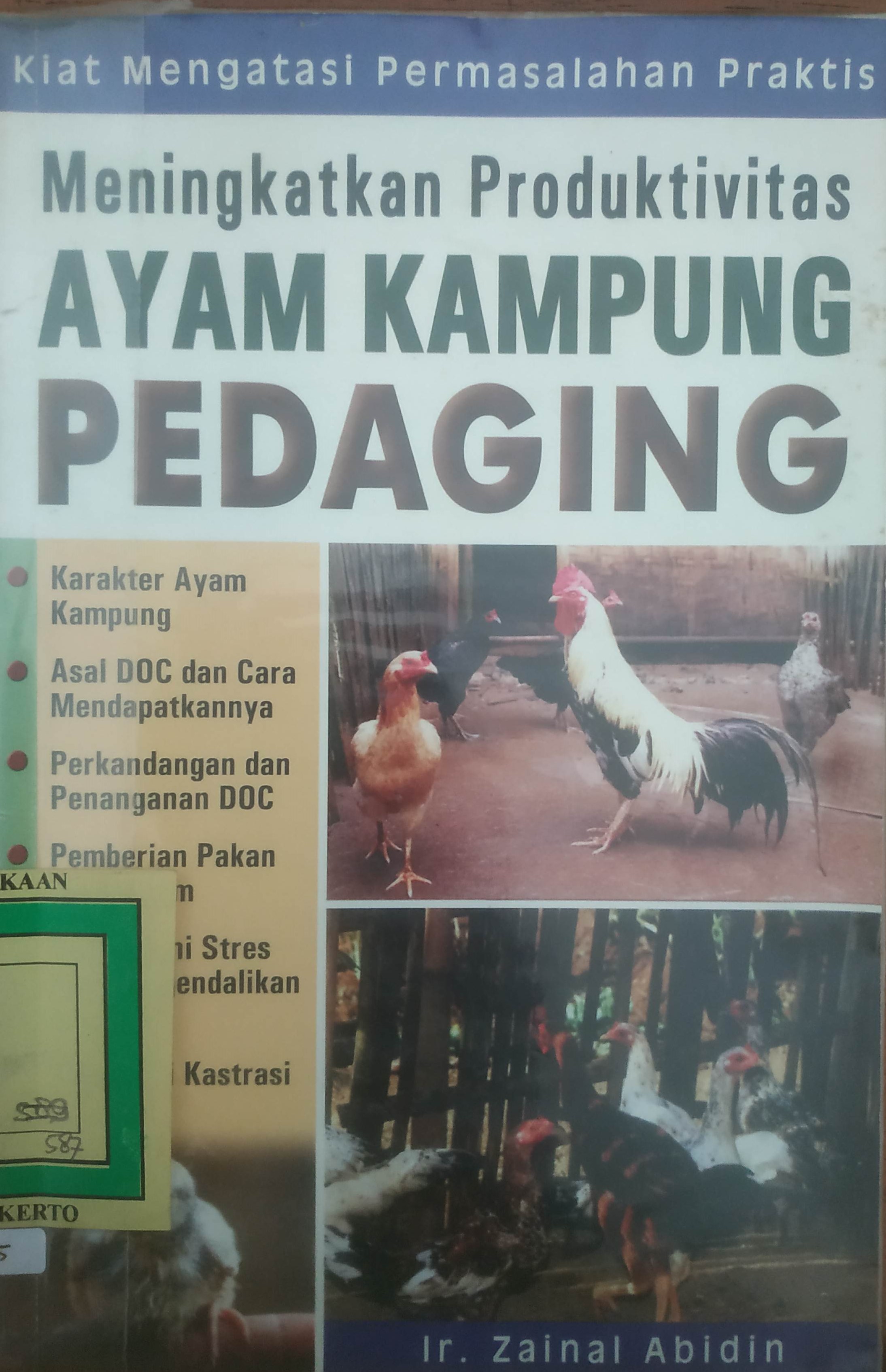 Cover Meningkatkan Produktifitas Ayam kampong Pedaging