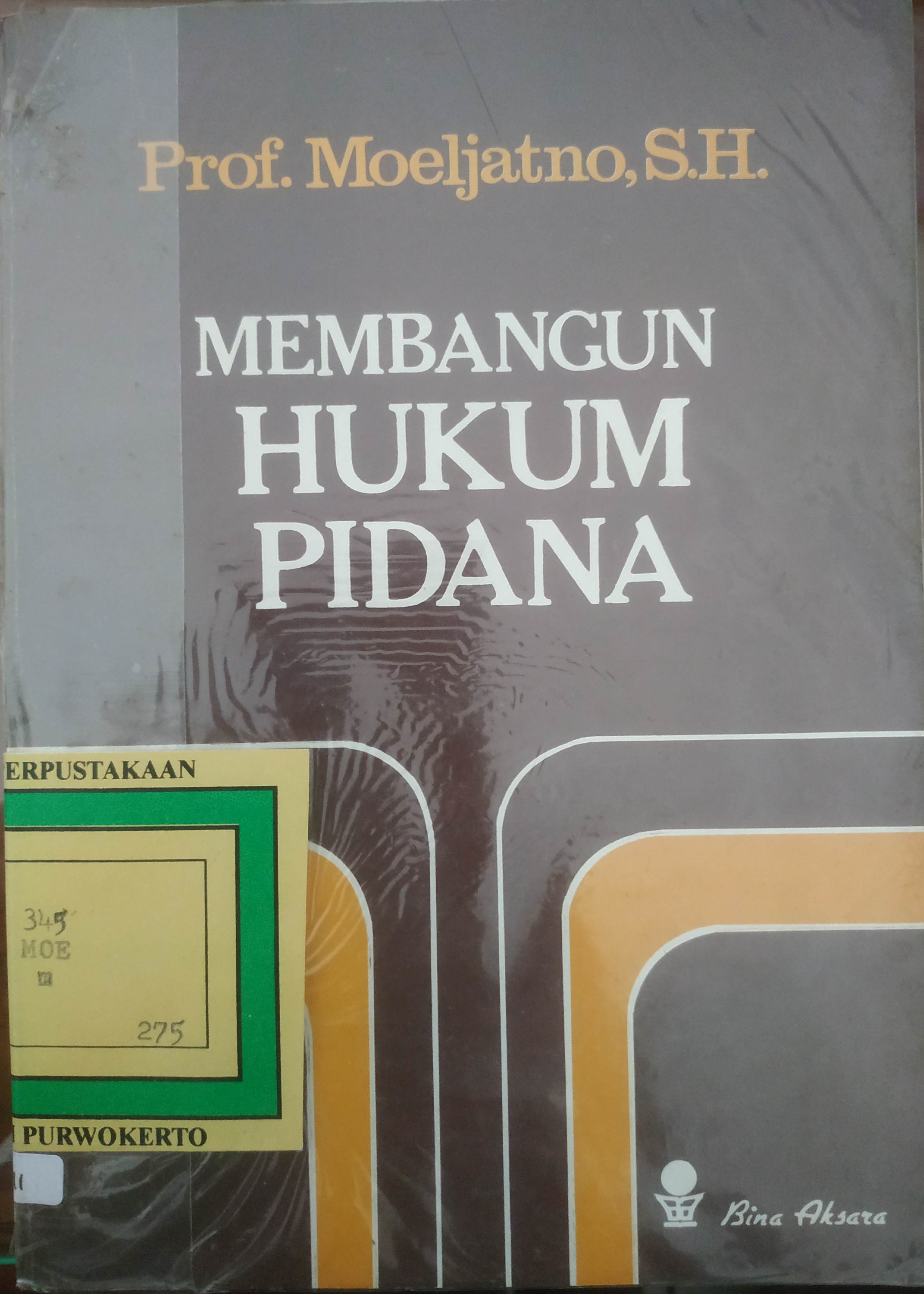 Cover Membangun Hukum Pidana