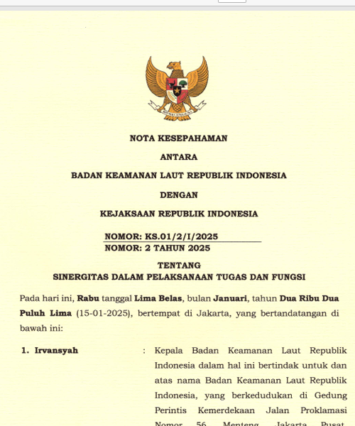 Cover SINERGITAS DALAM PELAKSANAAN TUGAS DAN FUNGSI